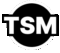TimeStone Modeling